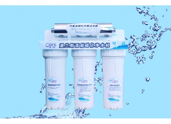 Magnetic water filters